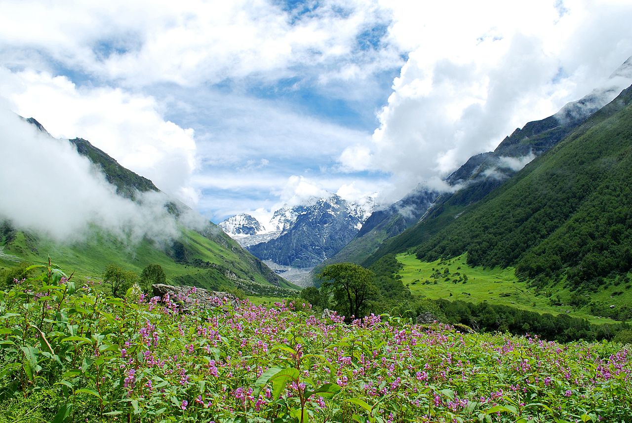 The Magical Valley of Flowers