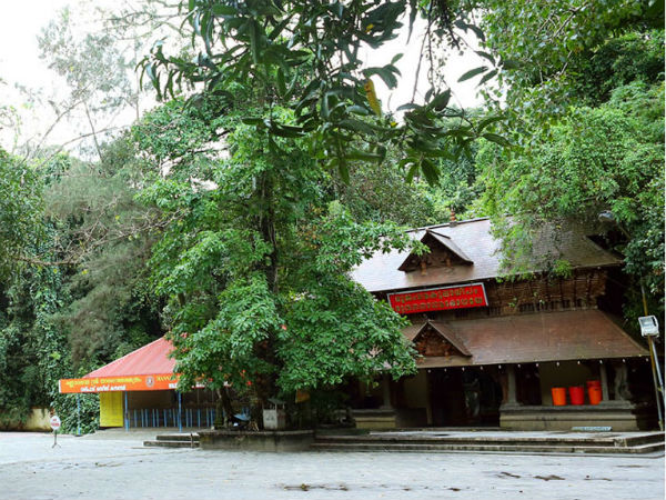 savaari-manarasala-ayilyam-2019-the-greenery-around-the-main-temple