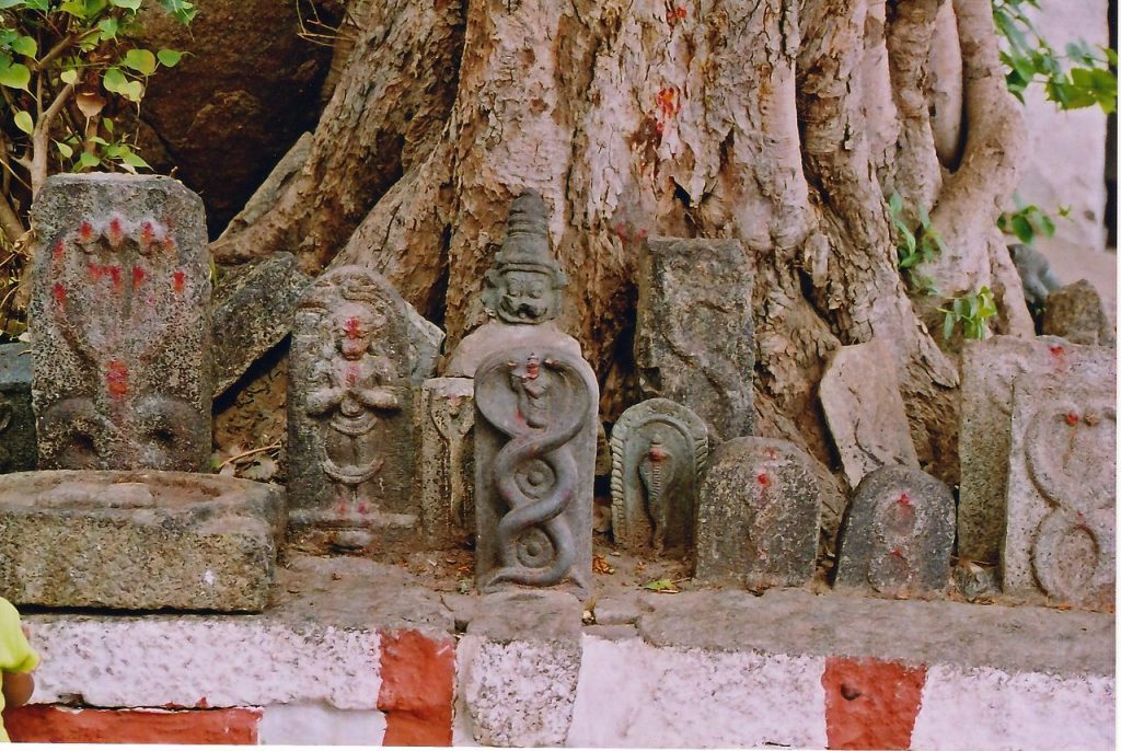 savaari-manarasala-ayilyam-2019-the-snake-idols