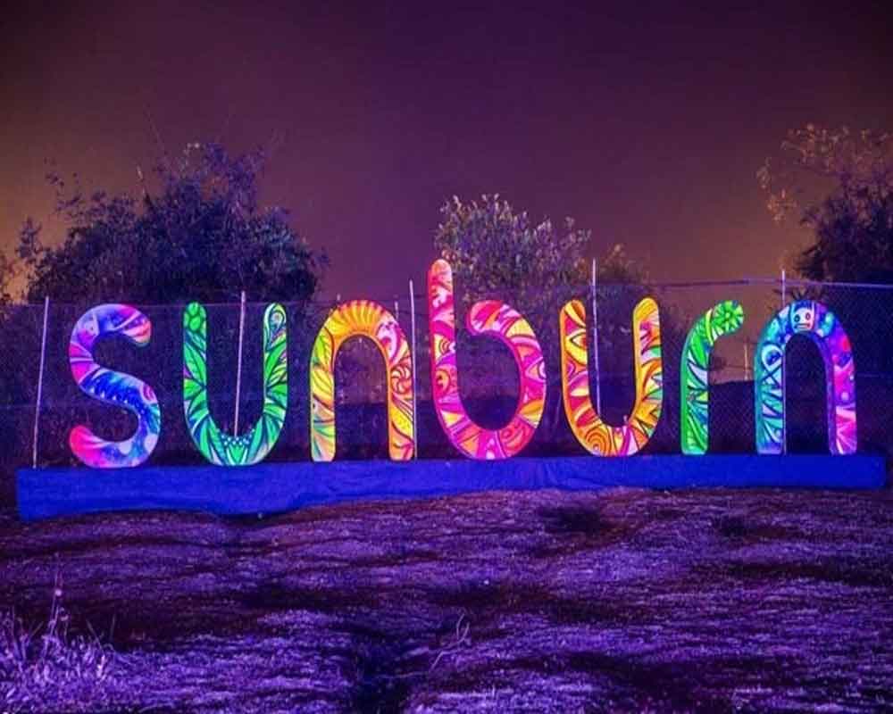 savaari-sunburn-music-festival-2019