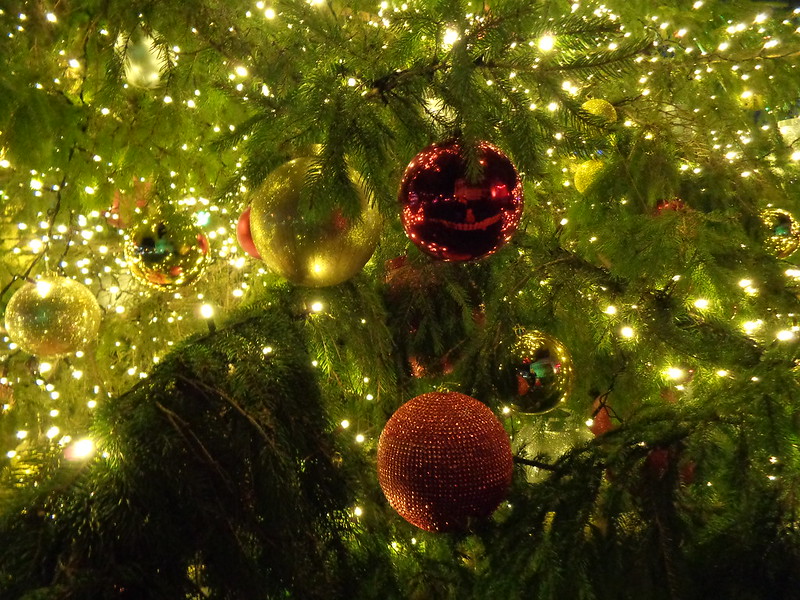 savaari-christmas-tree-2019