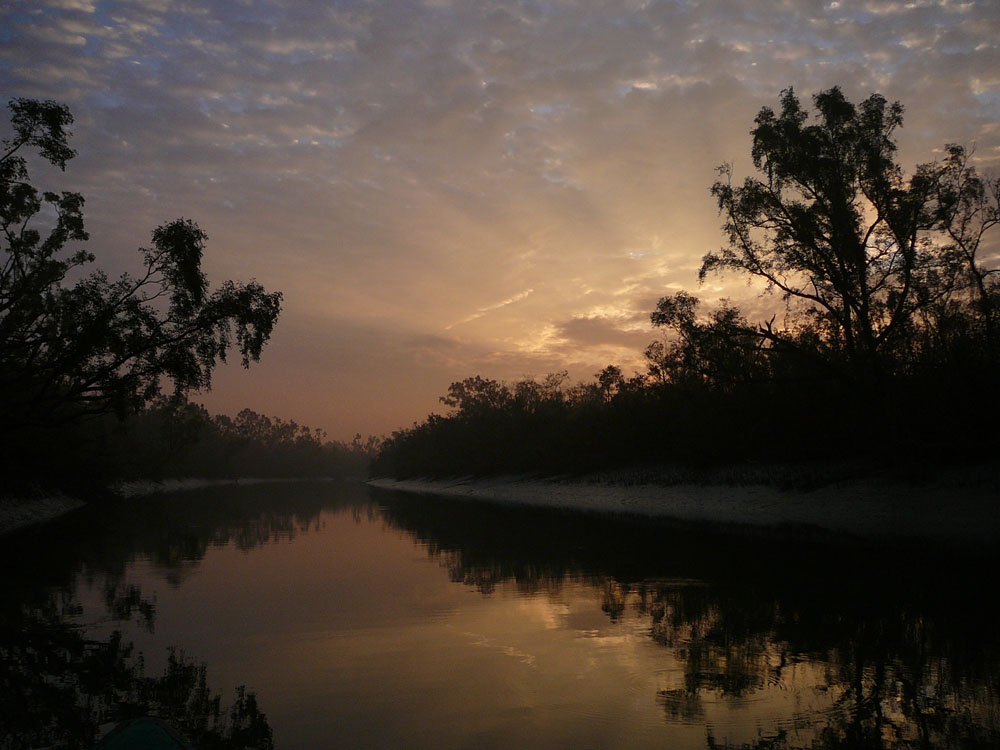 Places to visit in Sundarbans
