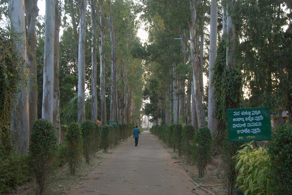 Padmapuram Gardens araku valley