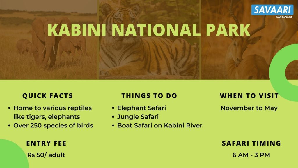 kabini-national-park