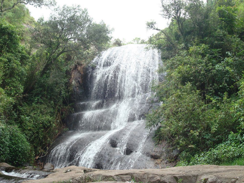 Bear Shola Falls 