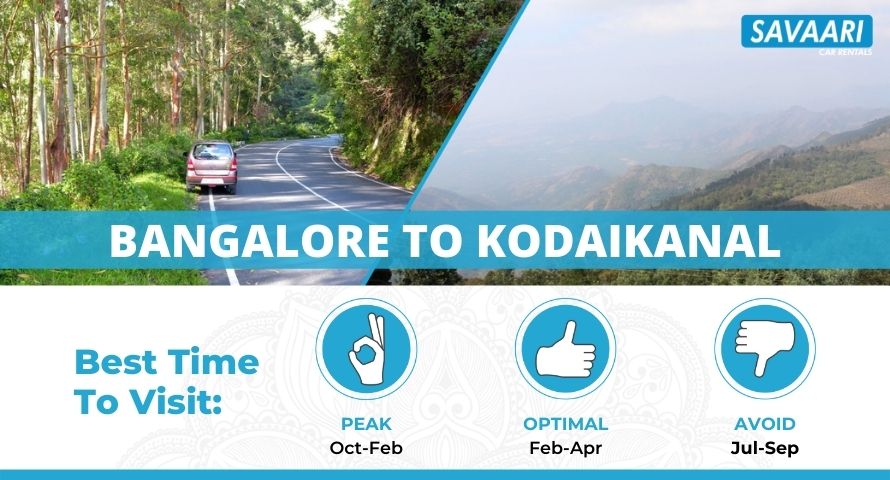 Bangalore to Kodaikanal by Road - Distance, Time and Useful Travel Information