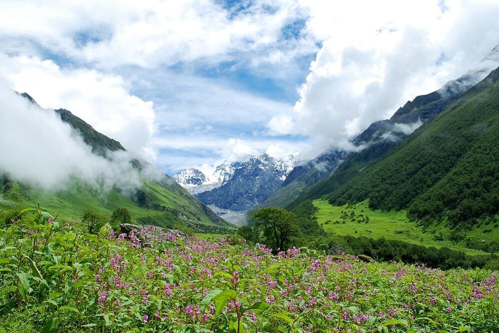 Kanchenjunga National Park