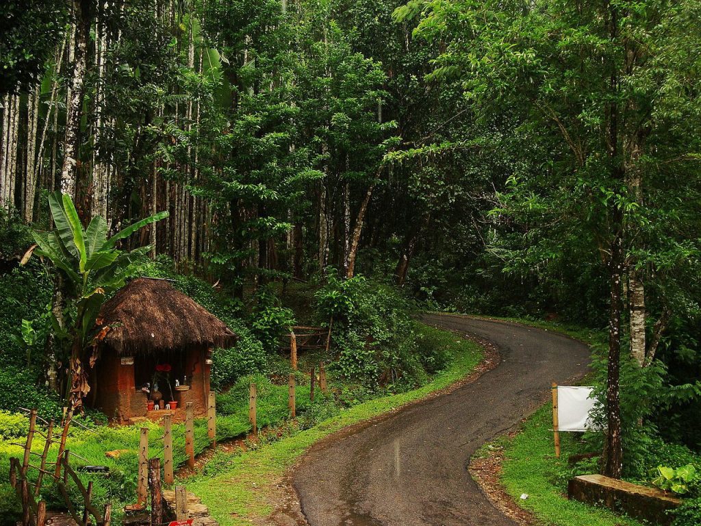 Agumbe roads