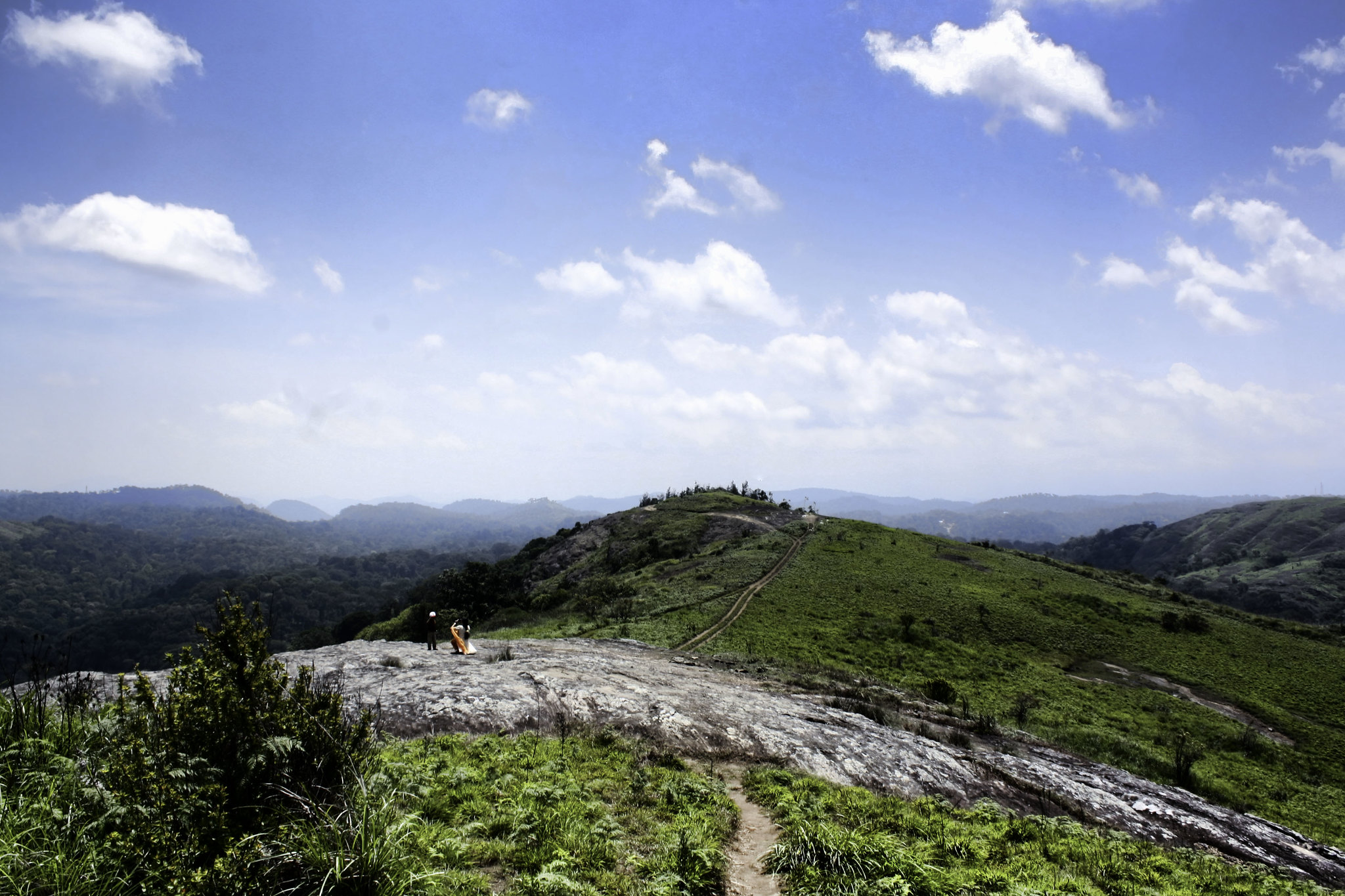 Thekkady: Lord of the Jungles - A Complete Travel Guide