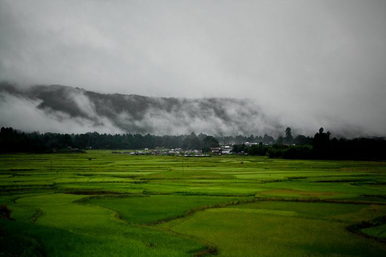 Places to Visit in India in September - Ziro