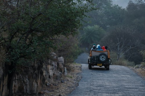 The road from Jaipur to Ranthambore has lush green cover and serene environment
