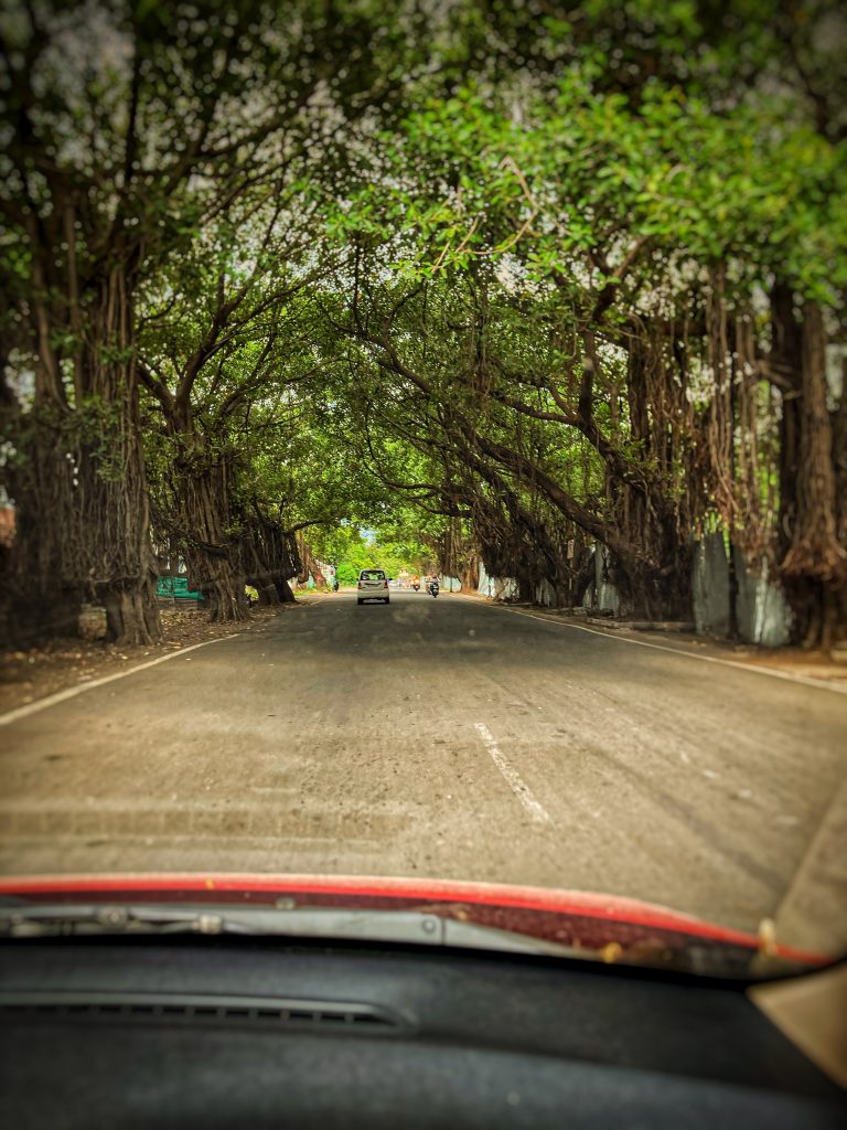 The jail road of the city. 