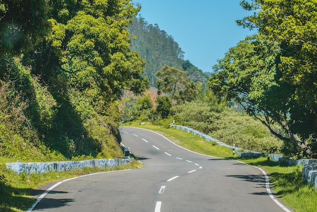 The scenic road from Bangalore to Ooty.