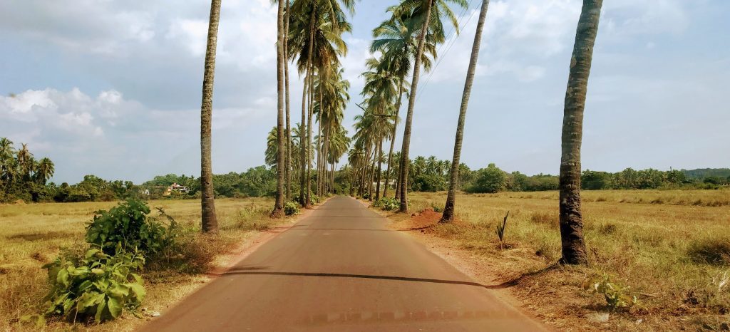 Mumbai to goa roads are iconic and lined with beautiful palms