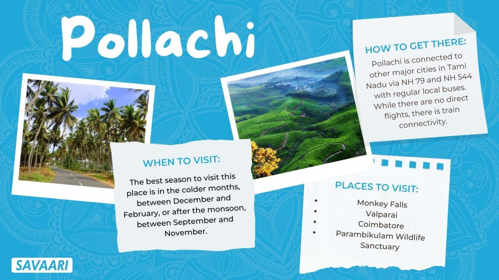 things to do in Pollachi