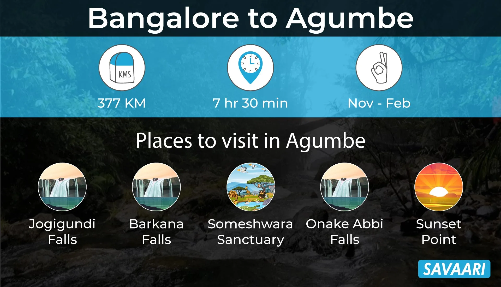 Bangalore to Agumbe a scenic road trip
