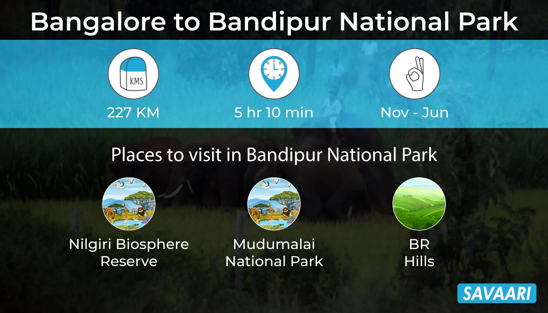 Bangalore to Bandipur National park
