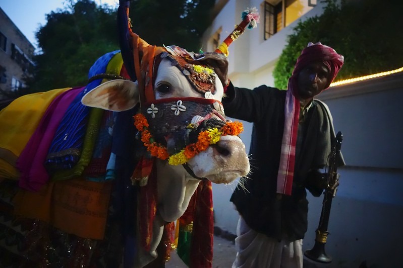 Unique Diwali Rituals in Different Parts of India - Govardhan Puja