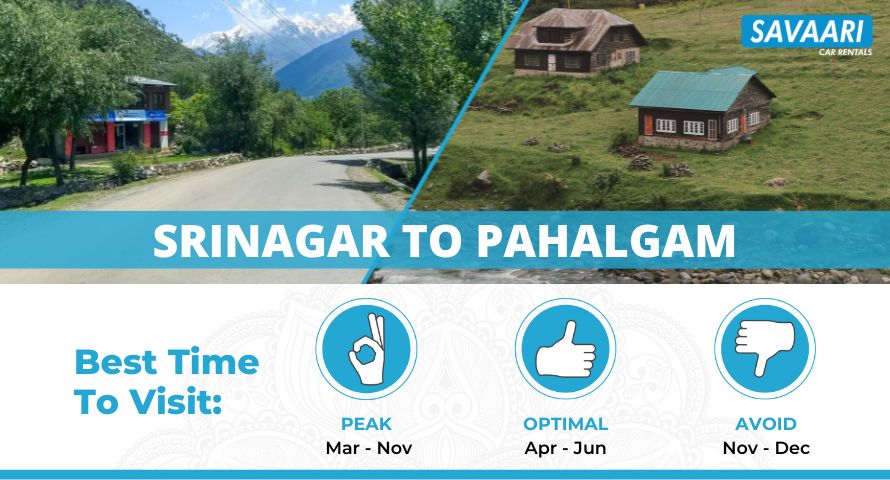 Srinagar to Pahalgam roadtrip
