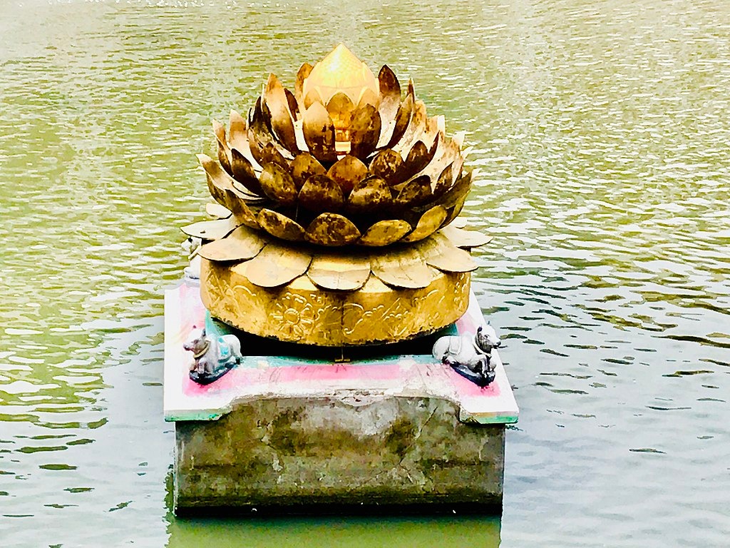 Golden lotus pool